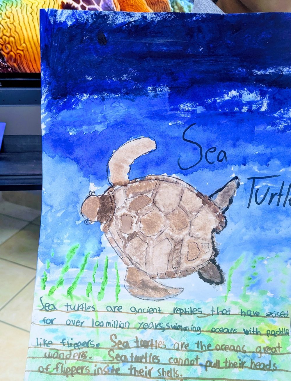 A child's watercolour and handwritten report about sea turtles